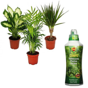 plantas y abonos